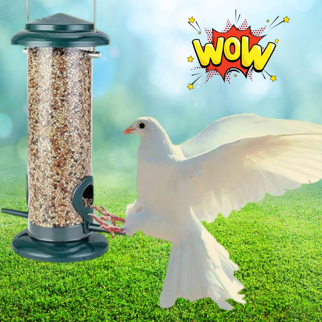 Bird Feeder (Buy1 Get1 Free)