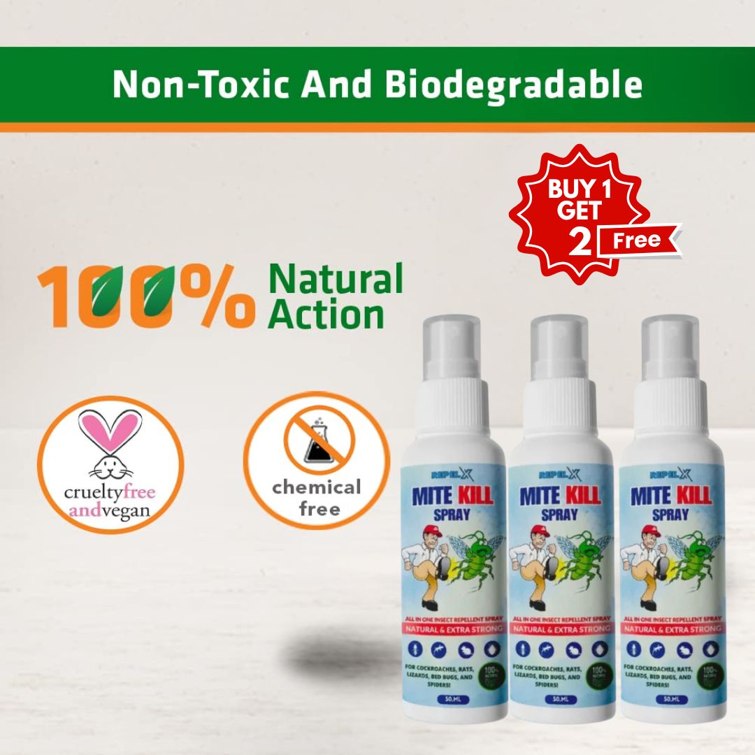 Termite Control Spray 50ML Each BUY 1 GET 2 FREE)