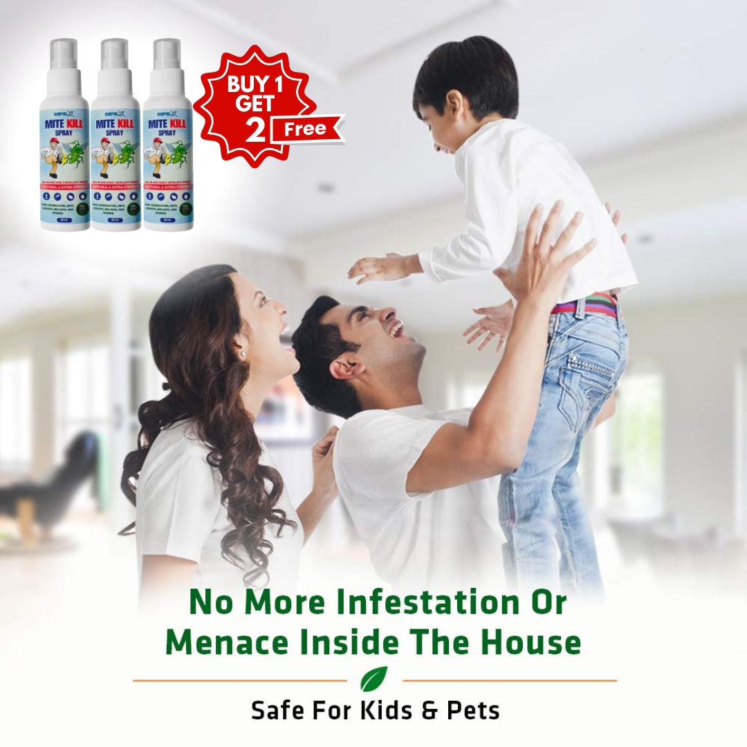 Termite Control Spray 50ML Each BUY 1 GET 2 FREE)