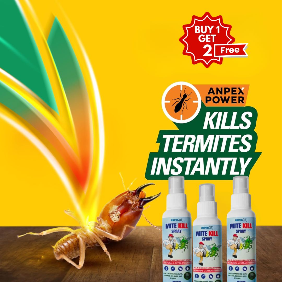 Termite Control Spray 50ML Each BUY 1 GET 2 FREE)