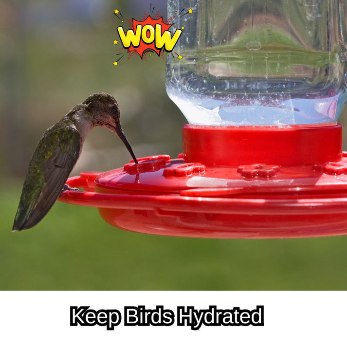 Bird Feeder (Buy1 Get1 Free)